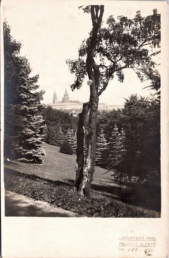 Okres Praha, Královský hrad