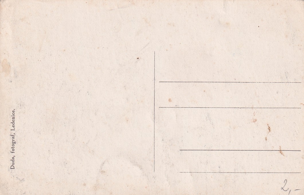 Okres České Budějovice, Ledenice