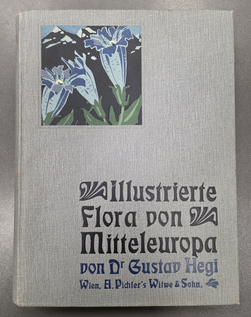 Illustrierte Flora von Mittel-Europa I.-V. - Hegi Gustav Dr.