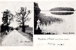 Okres Tábor, Planá nad Lužnicí